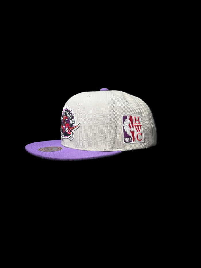 Toronto Raptors Mitchell & Ness Hardwood Classic Legendary Original Fit Snapback Hat - Grey/Purple