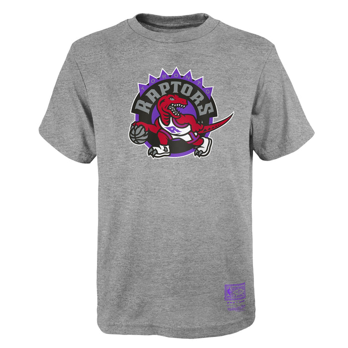 Youth Toronto Raptors Gray Retro Hardwood Classic Mitchell & Ness T-Shirt