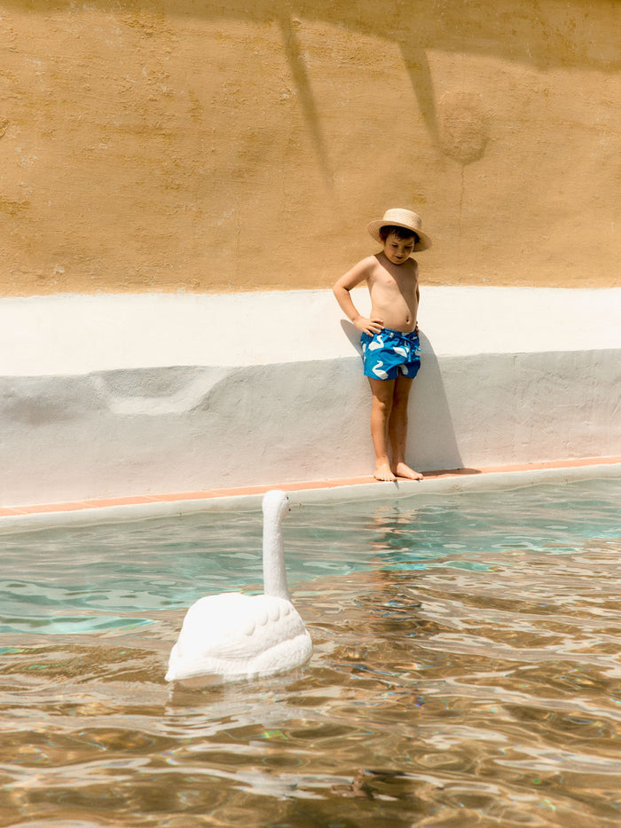 Big Swans Trunks in Blue