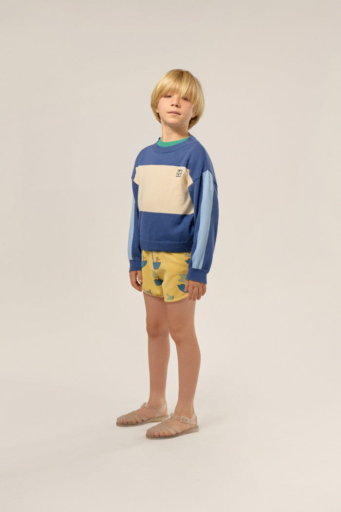 Color Block Sweater in Blue
