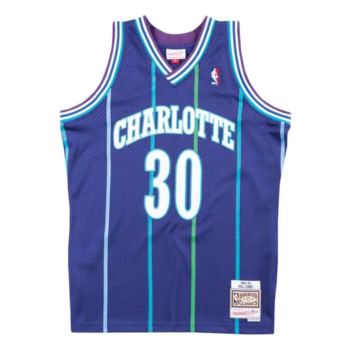 Dell Curry #30 Charlotte Hornets Alternate 1994-95 Mitchell & Ness Hardwood Classic Swingman Purple Jersey