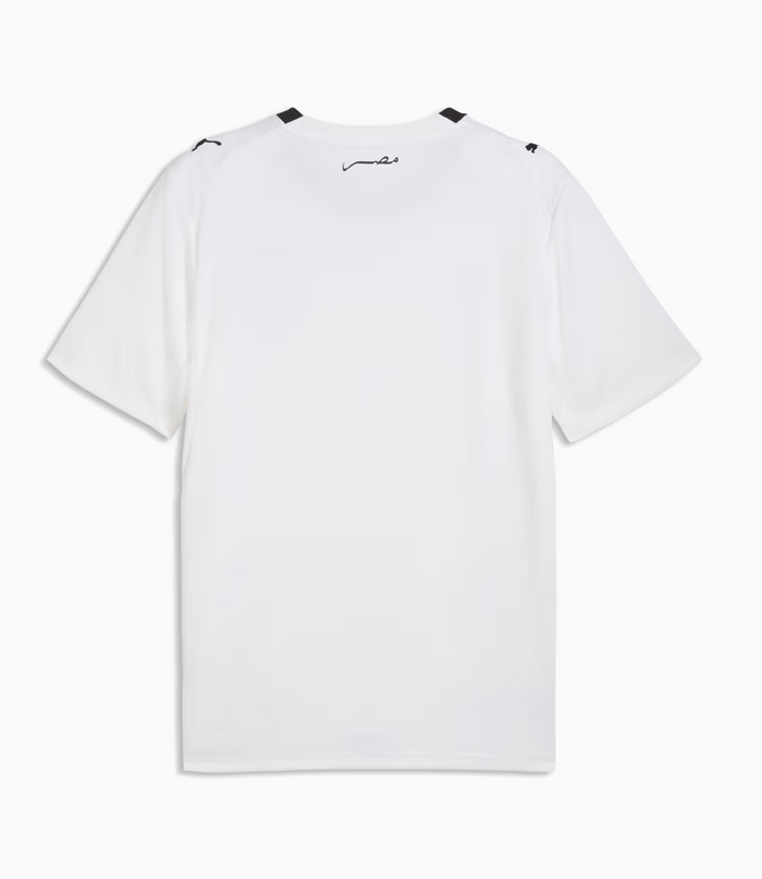 Egypt Fifa EFA World Cup Puma 2025/26 Away Replica Jersey