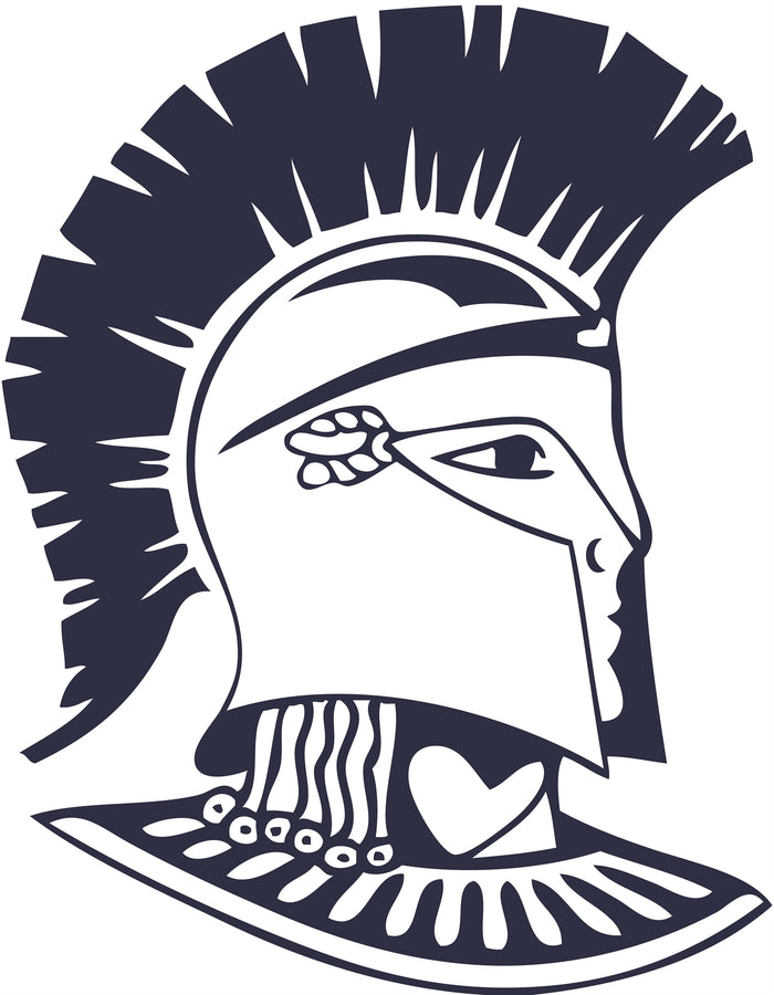 Immaculata Cheer Sponsorship - Blue Level - Business Name - $50