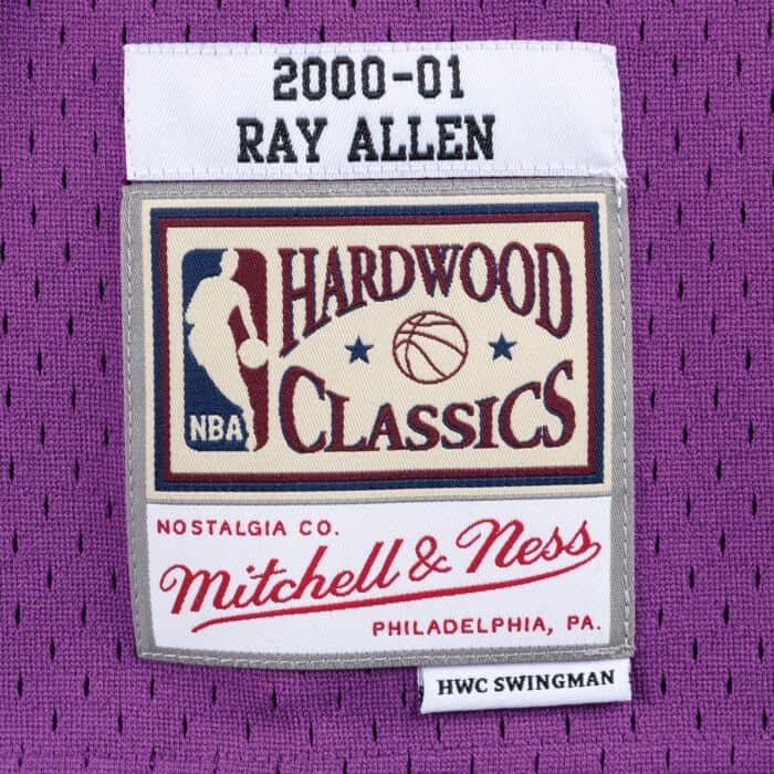 Ray Allen #34 Milwaukee Bucks Mitchell & Ness 2001-02 Hardwood Classic Swingman Jersey - Purple
