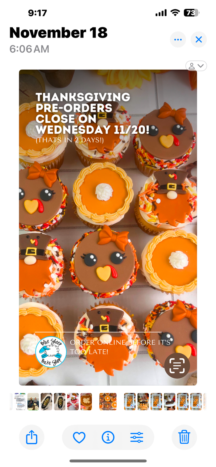 Thanksgiving decorated cupcakes