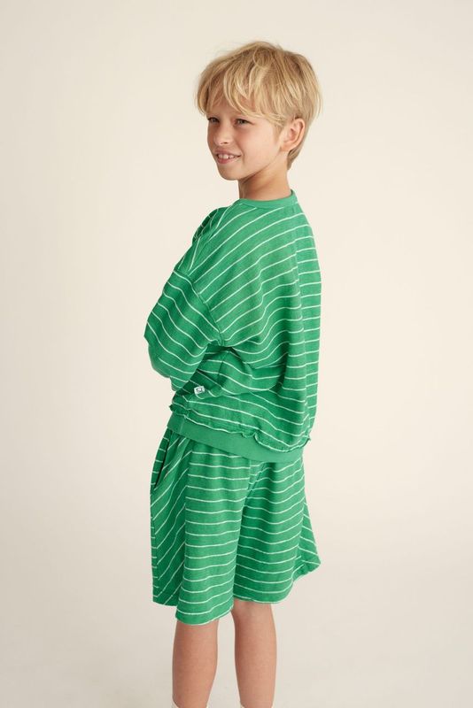Thiago Striped Sweatshirt in Grass Green