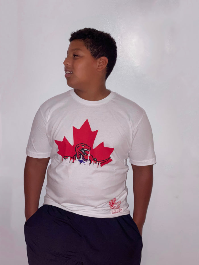 Toronto Raptors Mitchell & Ness Behind The Country White T-Shirt