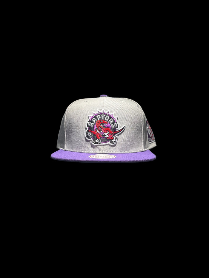 Toronto Raptors Mitchell & Ness Hardwood Classic Legendary Original Fit Snapback Hat - Grey/Purple