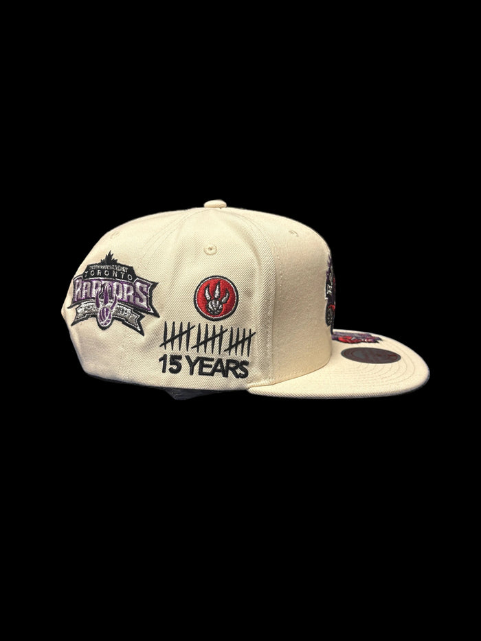 Toronto Raptors Mitchell & Ness Historic Original Structured Fit Snapback Hat - Cream