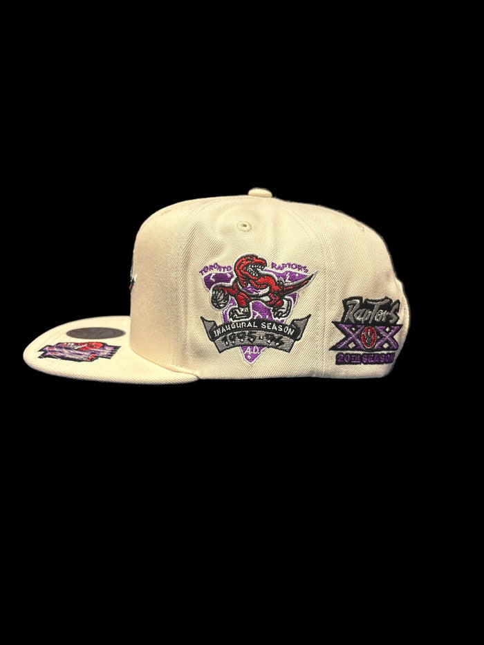 Toronto Raptors Mitchell & Ness Historic Original Structured Fit Snapback Hat - Cream