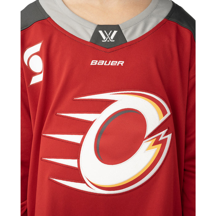 Youth PWHL Teal Ottawa Charge Replica Hockey Jersey