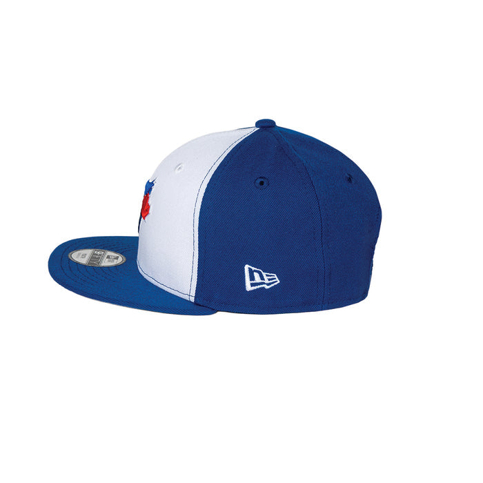 Youth Toronto Blue Jays 50th Season TwoTone White Alternate 3 New Era 9Fifty Snapback Hat