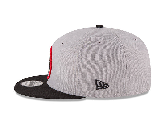 Youth Toronto Raptors 2Tone 9Fifty New Era Snapback Hat - Grey/Black