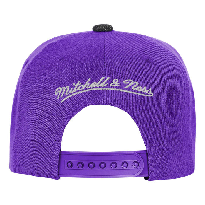 Youth Toronto Raptors Mitchell & Ness PatchWork Hard Wood Classic Snapback Hat