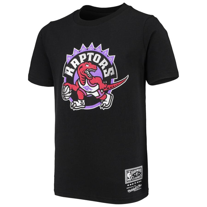 Youth Toronto Raptors Tri Blend Hardwood Classic Logo T-Shirt